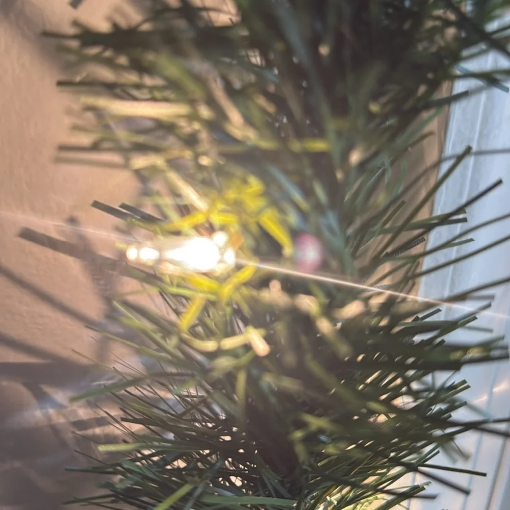 Garland - Light up plug in